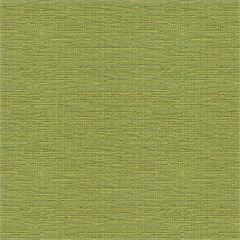 Cato Grass